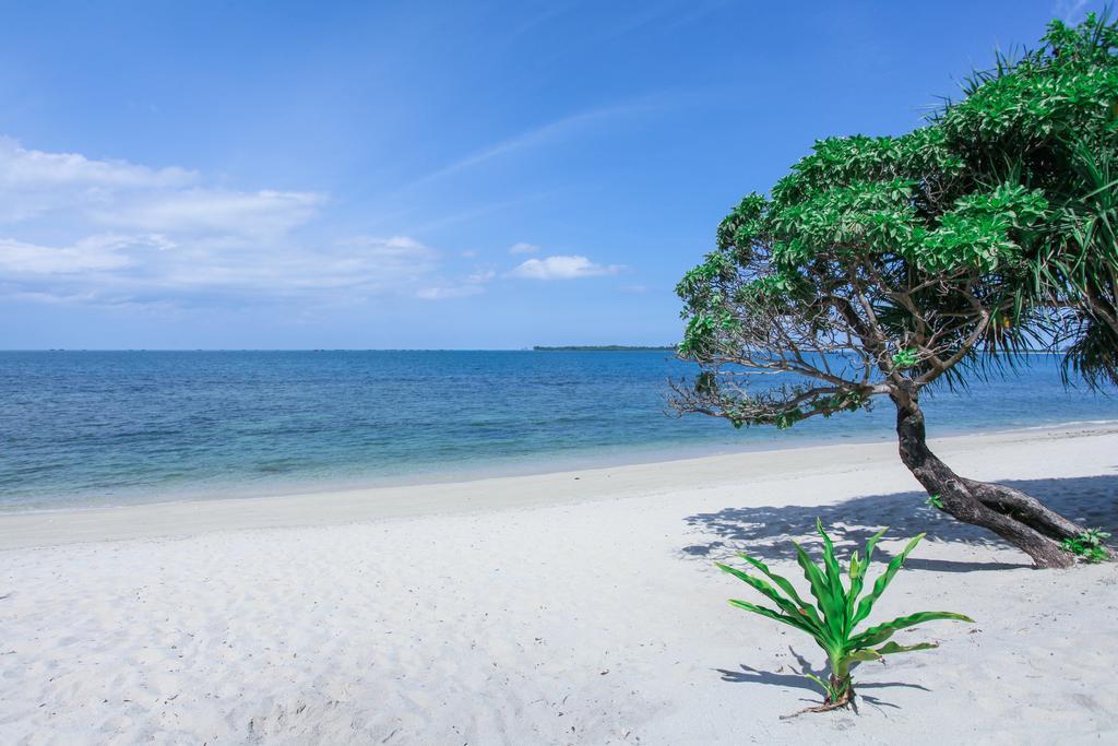 Trikora Beach Club And Resort Teluk Bakau Exterior photo